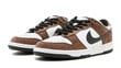 Nike SB Dunk Low Trail White Brown 304292-102