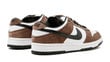 Nike SB Dunk Low Trail White Brown 304292-102