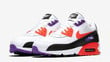 Nike Air Max 90 Raptors AJ1285-106