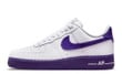 Nike Air Force 1 Low EMB Sports Specialties DB0264-100