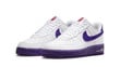 Nike Air Force 1 Low EMB Sports Specialties DB0264-100