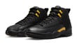 Air Jordan 12 Black Taxi CT8013-071