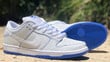 Nike SB Dunk Low Premium White Blue CJ6884-100