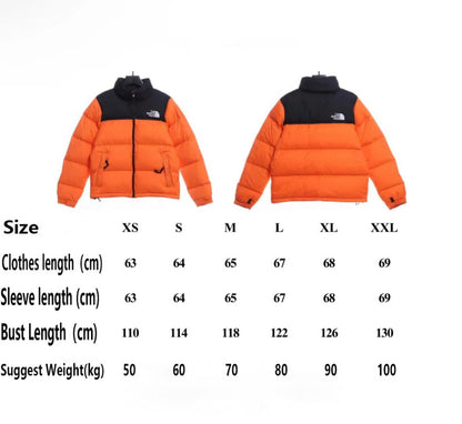 TNF 19fw 1996 Classic Down Jacket